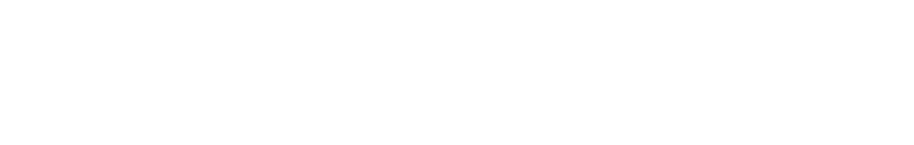 DHZ logo white