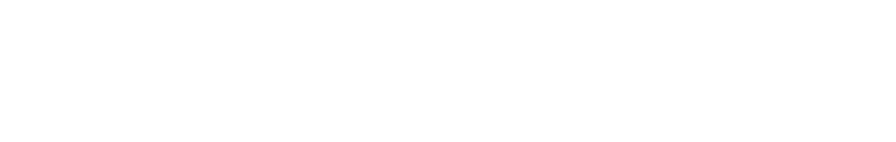 DHZ logo white